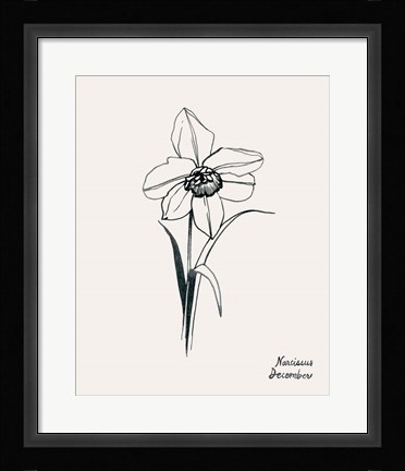 Framed Annual Flowers XII Print