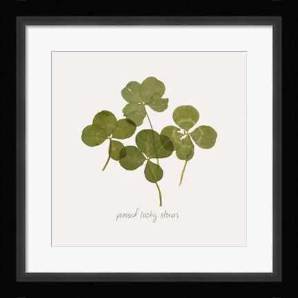 Framed Pressed Clover I Print