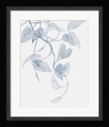 Framed Pothos Penumbra I Print