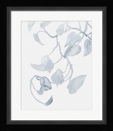 Framed Pothos Penumbra II Print