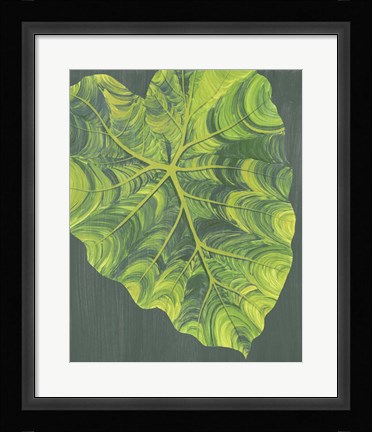 Framed Elephant Ears I Print