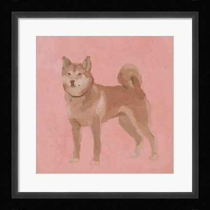 Framed Shiba Inu II Print