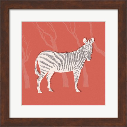 Framed Plains Zebra I Print