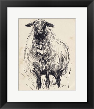Framed Charcoal Sheep I Print