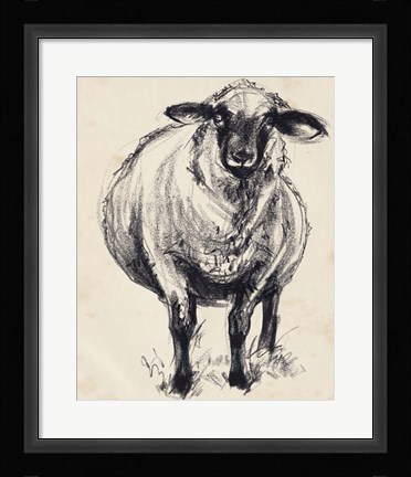 Framed Charcoal Sheep II Print