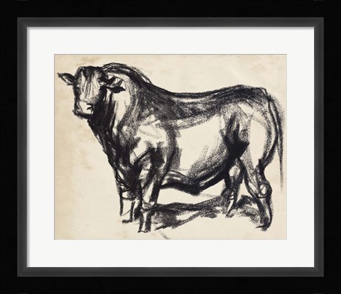 Framed Black Angus II Print