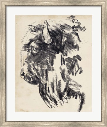 Framed Bison Head Gesture II Print