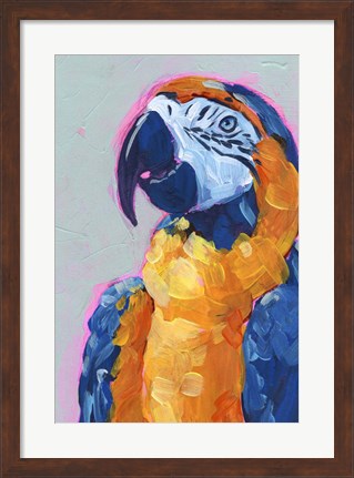 Framed Pop Art Parrot I Print