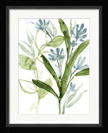 Framed Meadow Blues III Print
