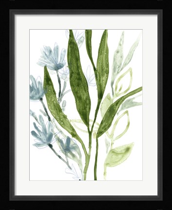 Framed Meadow Blues IV Print