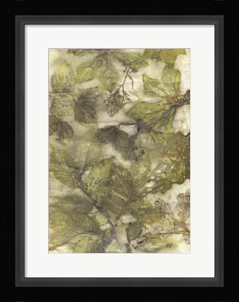 Framed Eco Print III Print