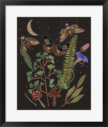 Framed Dark Forest I Print