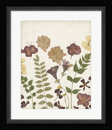 Framed Pressed Flower Arrangement II Print