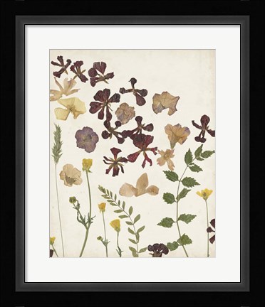 Framed Pressed Flower Arrangement III Print