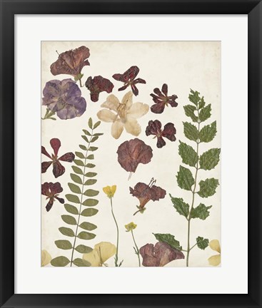 Framed Pressed Flower Arrangement VI Print