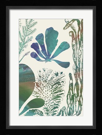 Framed Aquatic Assemblage I Print
