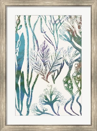 Framed Aquatic Assemblage V Print
