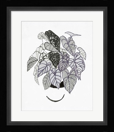 Framed B&amp;W Indoor Plant I Print