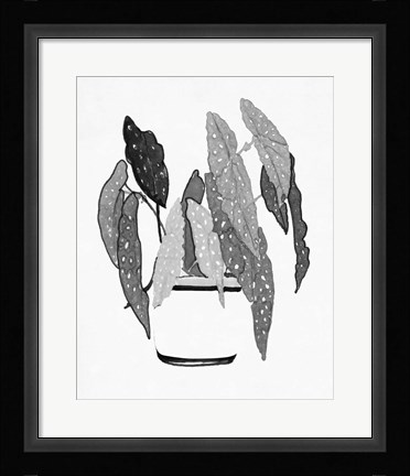 Framed B&amp;W Indoor Plant V Print