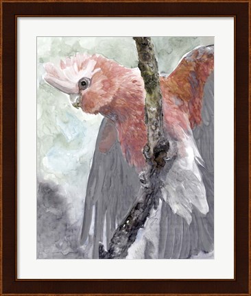 Framed Tropic Parrot II Print