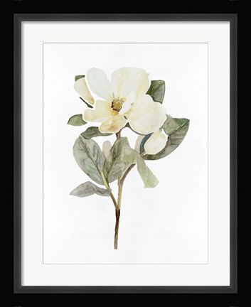 Framed White Blossom VI Print