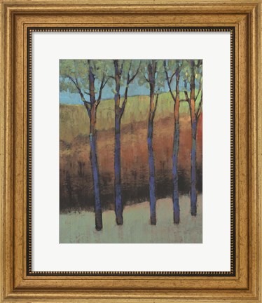 Framed Glimmer in the Forest II Print