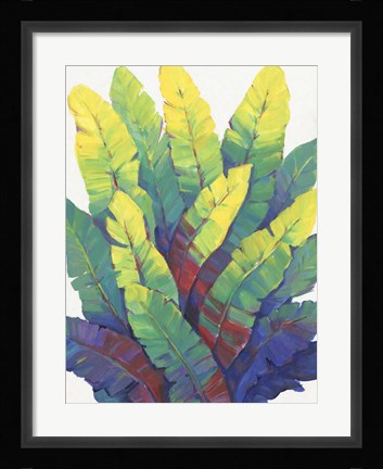 Framed Sunlit Banana Leaves I Print