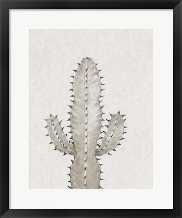 Framed Cactus Study I Print