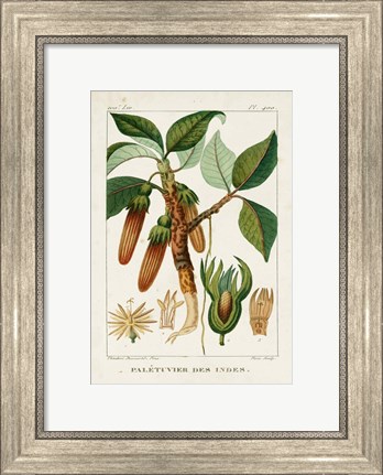 Framed Turpin Foliage &amp; Fruit I Print