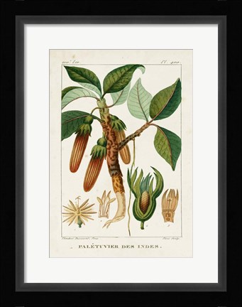 Framed Turpin Foliage &amp; Fruit I Print