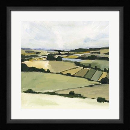 Framed Patchy Landscape II Print
