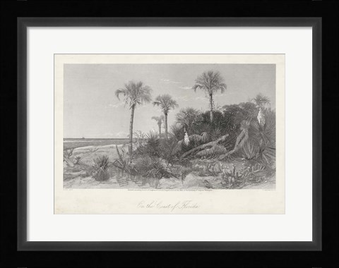 Framed On the Coast of Florida Print
