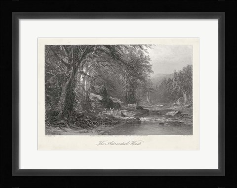 Framed Adirondack Woods Print