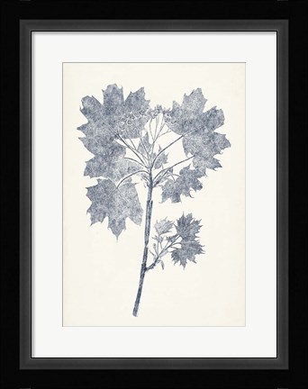 Framed Navy Botanicals I Print