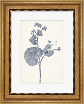 Framed Navy Botanicals VI Print