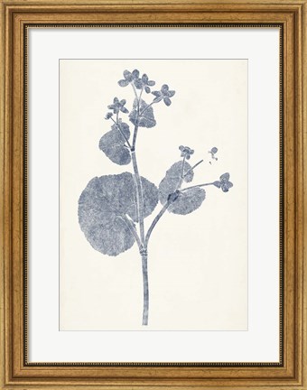 Framed Navy Botanicals VI Print