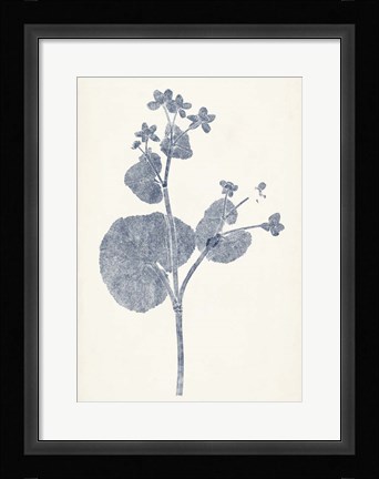 Framed Navy Botanicals VI Print