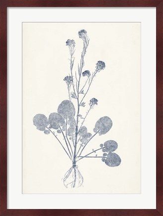 Framed Navy Botanicals VIII Print
