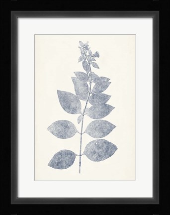 Framed Navy Botanicals IX Print