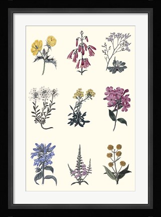 Framed Antique Floral Chart Print