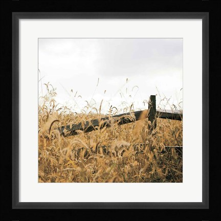 Framed Fencerow Light Crop Print