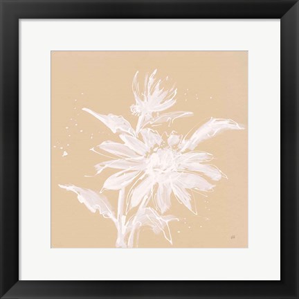 Framed Echinacea II Print