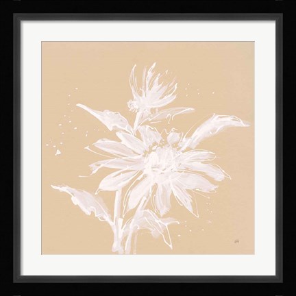 Framed Echinacea II Print