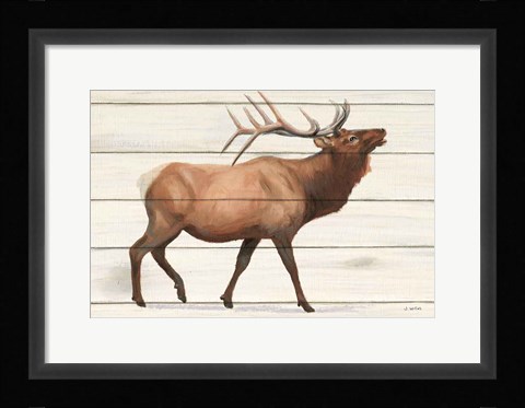 Framed Northern Wild III Print