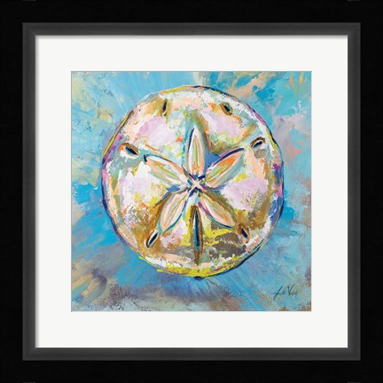 Framed Sand Dollar Print
