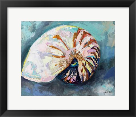 Framed Nautilus Shell Print