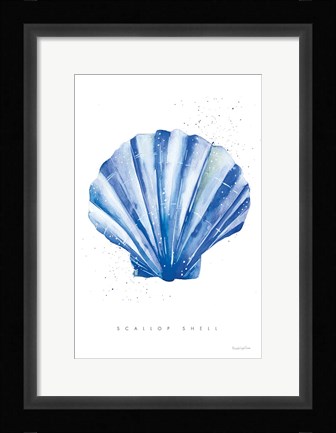 Framed Scallop Shell Print