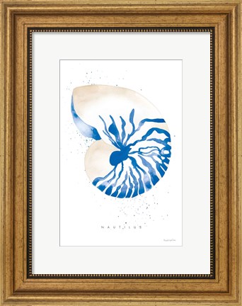 Framed Nautilus Print