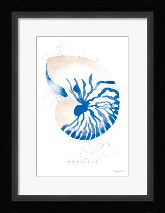 Framed Nautilus Print