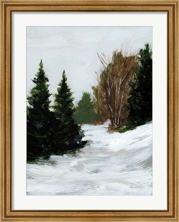 Framed Winter on Grand Mesa Print